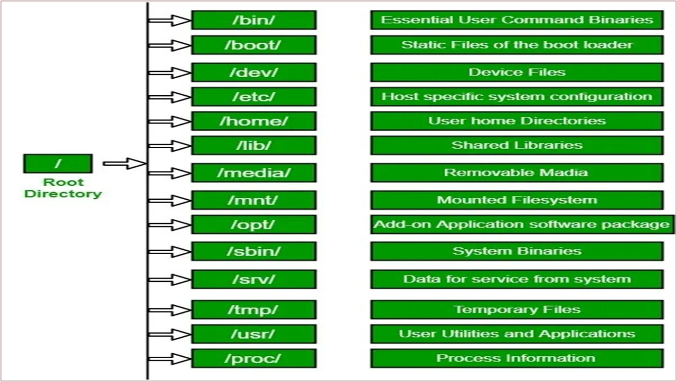 Types of Directories in LFHS